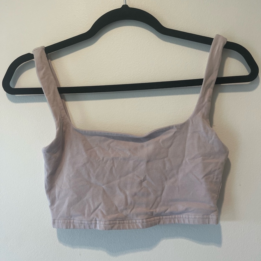 Aritzia Crop/Bra top